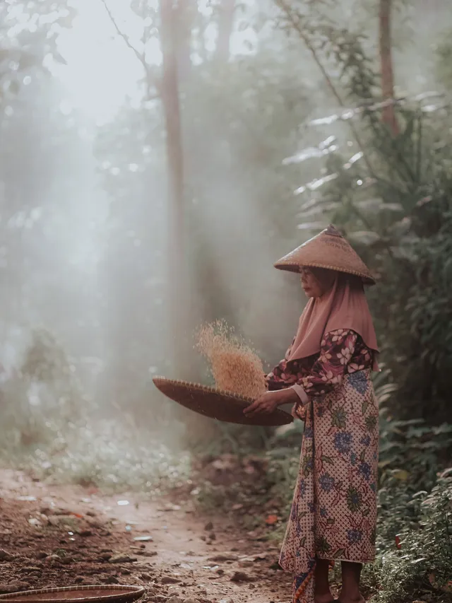A woman winnows rice on a misty path at the forest edge